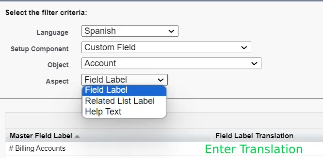 How to translate Custom Field in Salesforce